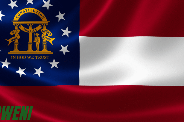 Georgia flag