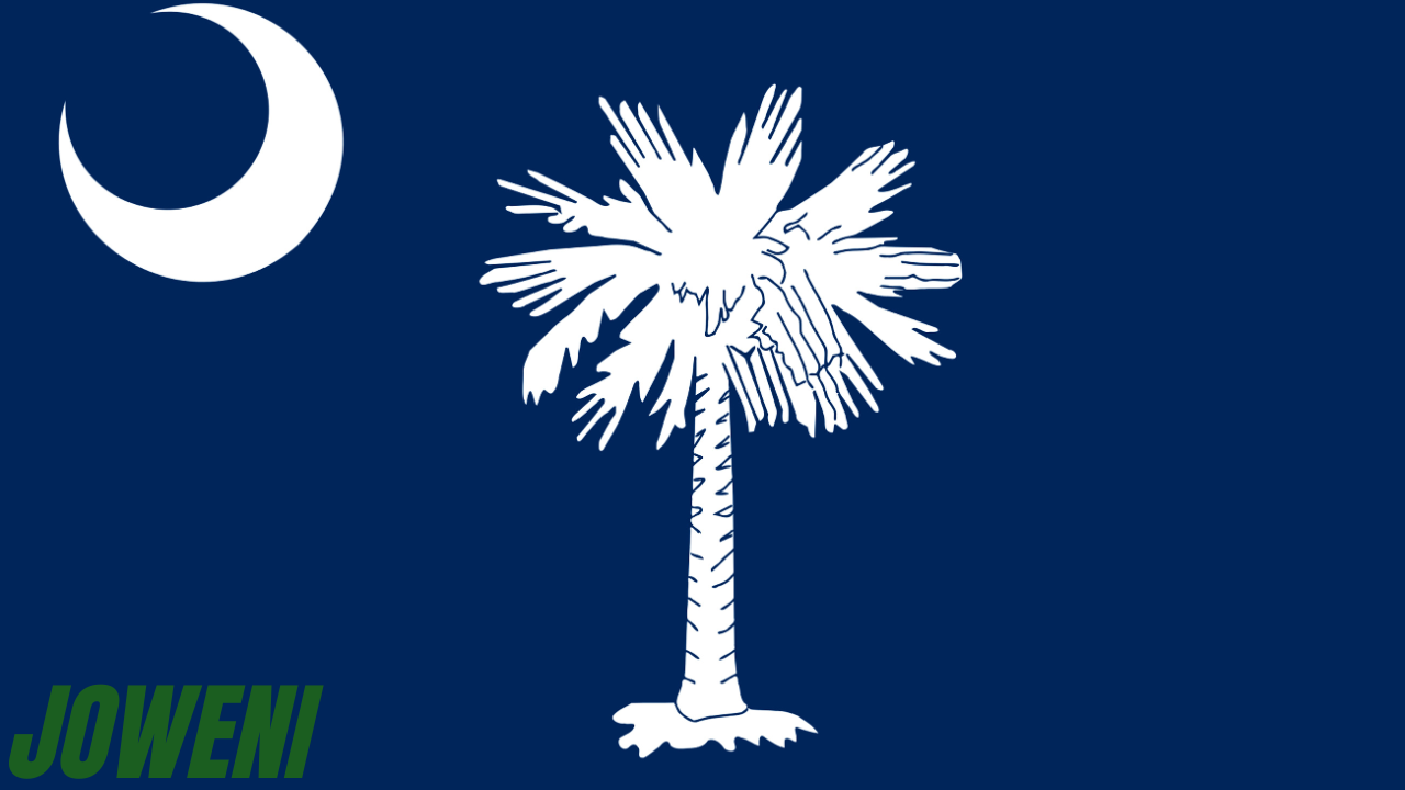 South Carolina flag