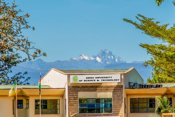 Meru University of Science And Tech