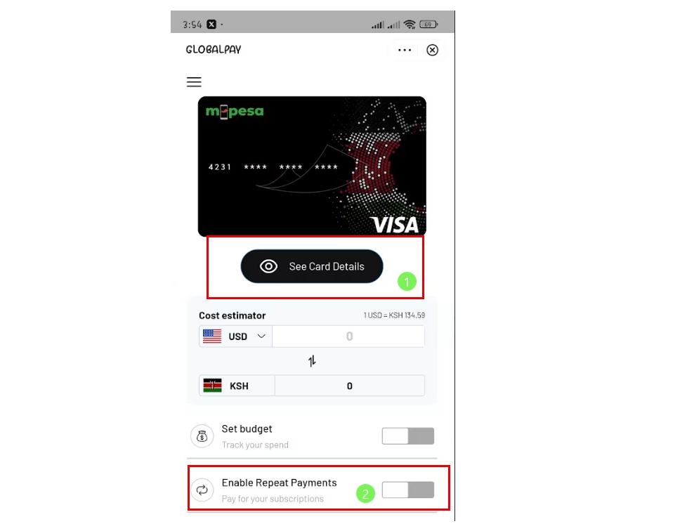 Screenshot of the M-Pesa Global Pay with the See Card details option