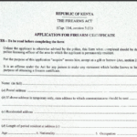 gun license