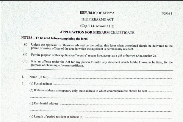 gun license