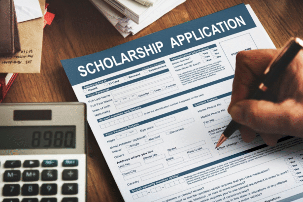 Government University Scholarship